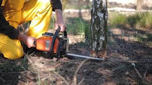 Best Lawn Grading and Leveling  in , VT